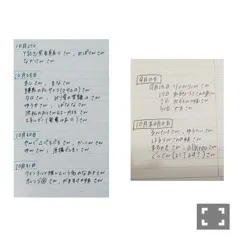 渡辺 みり愛｜コトリとカタカナ（2015-10-27）｜5枚目