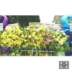 渡辺 みり愛｜金魚鉢のこと（2016-09-01）｜4枚目