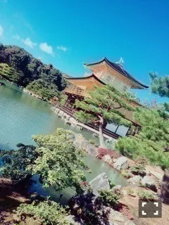 衛藤 美彩｜京都に行った。（2016-01-30）｜3枚目