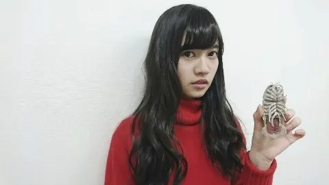 寺田 蘭世｜ハルジオン発売日不等号も宜 しくお願い致します！あと個人PV…（2016-03-23）