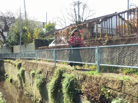 寺田 蘭世｜寺田蘭世です。（2016-04-15）