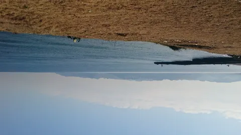 寺田 蘭世｜№2（2020-05-19）｜3枚目