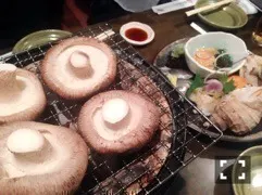 桜井 玲香｜2015.07.11（2015-07-11）｜2枚目