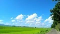 井上 小百合｜ぽーーーんっ 。 ＋＋（2012-08-17）｜6枚目