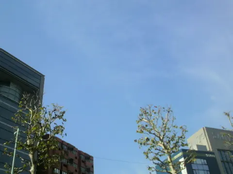 井上 小百合｜初めまして♪さゆにゃん（2011-11-13）