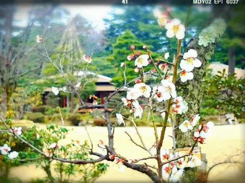 井上 小百合｜ヽ(｡･ω･｡)ぽかぽかぽっ ぽぅ！（2015-03-28）｜9枚目