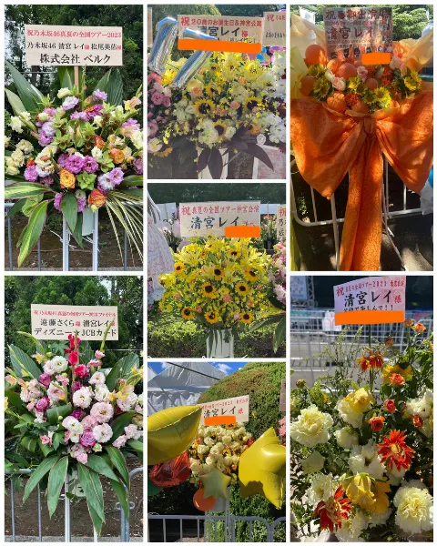 清宮 レイ｜お元気ですか☺️🌼（2023-09-17）｜4枚目