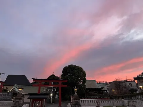 清宮 レイ｜はじめて書きます！（2024-01-16）｜5枚目