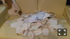 畠中 清羅｜せいたんなう。739（2014-07-31）｜5枚目