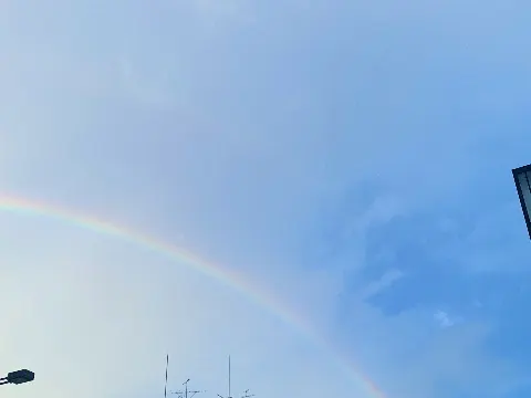 早川 聖来｜さくちゃん育て始めました☺︎（2020-09-08）｜4枚目