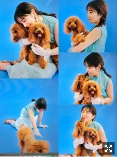 与田 祐希｜19才（2019-06-02）｜5枚目