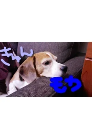 斉藤 優里｜ころころ〜すってん＊（2012-01-03）