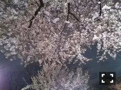 斉藤 優里｜一昨日夢を見ました（2015-04-03）｜2枚目
