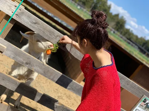 斉藤 優里｜生野菜を丸かじり（2019-04-25）｜2枚目