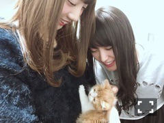 能條 愛未｜2016年最後のブログです（2016-12-31）｜2枚目