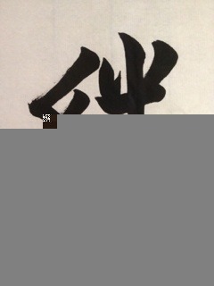 斎藤 ちはる｜お正月(´>∀<｀)ゝ（2013-01-03）｜5枚目
