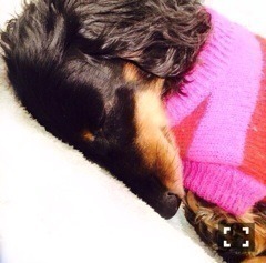 斎藤 ちはる｜寝正月じゃなくて大 忙し(´>∀<｀)ゝ（2014-01-04）｜2枚目