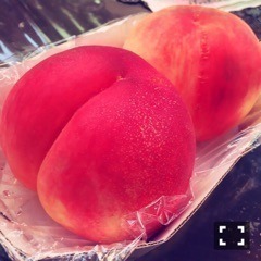 斎藤 ちはる｜好き好き攻撃。(´>∀<｀)ゝ（2016-08-11）｜3枚目