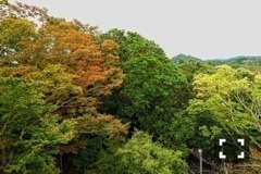 斎藤 ちはる｜写真展は密かな夢。（2016-11-03）｜4枚目