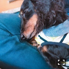 斎藤 ちはる｜お餅とさくらと。（2017-01-06）｜6枚目
