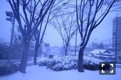 斎藤 ちはる｜月日（2017-01-19）｜3枚目