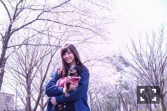 斎藤 ちはる｜さくらと桜（2017-04-06）｜3枚目