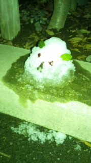 斎藤 ちはる｜ういんく♪(  ｏ・ω・)  ノ))（2012-01-25）