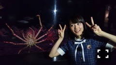 生田 絵梨花｜水族館〜don♪429（2016-07-17）｜2枚目