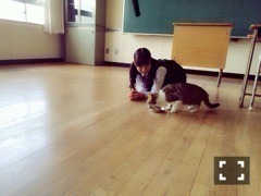 中元 日芽香｜ひめたん-0o0-その694（2017-01-13）
