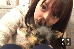 中元 日芽香｜ひめたん-0o0-その695（2017-04-01）｜3枚目
