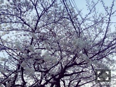 樋口 日奈｜日だまりのお部屋328 *ひなちま（2014-03-30）｜2枚目