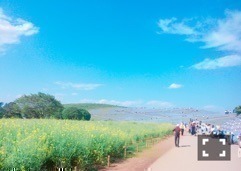 樋口 日奈｜日だまりのお部屋560*ひなちま（2017-05-15）｜2枚目