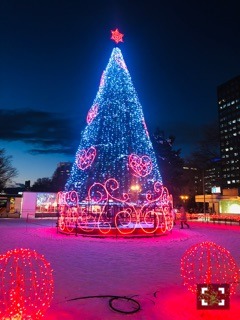 樋口 日奈｜クリスマスは全ての時を一つに繋げる日。679*日奈（2019-12-25）