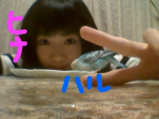 樋口 日奈｜書きたいことがいっぱい*+ひなちま+*（2011-11-27）｜2枚目