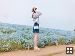 川後 陽菜｜ネモフィラの丘＊（2017-05-20）｜8枚目