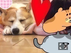 北野 日奈子｜ソフトクリームの味 はまだ悩み中。。。 じゃあ、好きな野菜は？（2015-12-02）｜5枚目