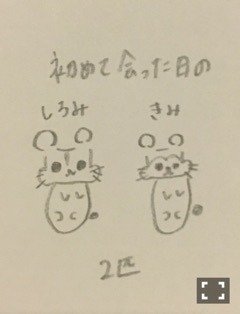 北野 日奈子｜日奈子は決められな い！でもサイリウム カラーの黄緑×ピン クはもちろんすきだ よ！そしたら、好き なゼリーの味は？（2016-01-06）｜13枚目
