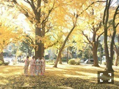 伊藤 かりん｜第319話 CanCam  さゆりんご軍団（2017-12-21）｜4枚目