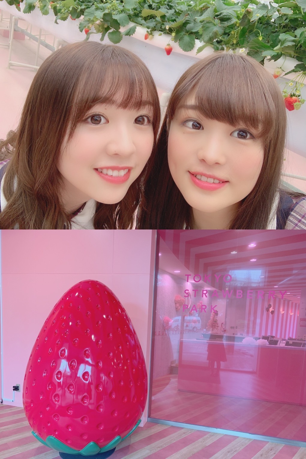伊藤 かりん｜第423話 ホットカーペットの上から動けない。（2019-01-17）｜4枚目