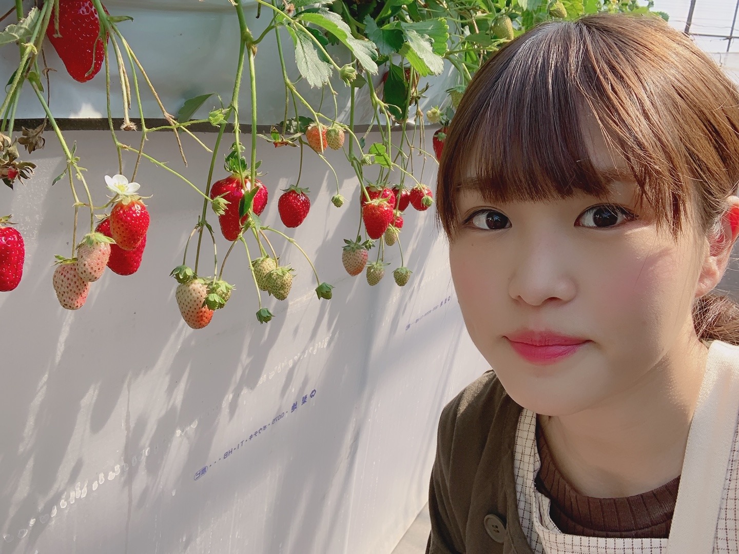 伊藤 かりん｜第443話 春の行楽。（2019-04-09）