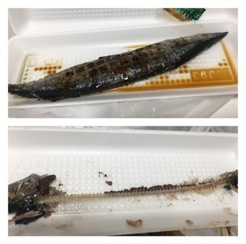 和田 まあや｜あの時は短すぎて膝掛けしてたけど...でも本当はこんなコスプレでした〜！（2016-10-28）｜23枚目