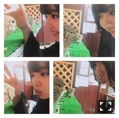 和田 まあや｜みなさん花粉症は大丈夫ですか？（2017-03-21）｜14枚目
