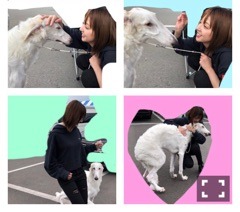 和田 まあや｜YOUは何しに日本へ(^^)in秘境（2018-11-13）｜37枚目