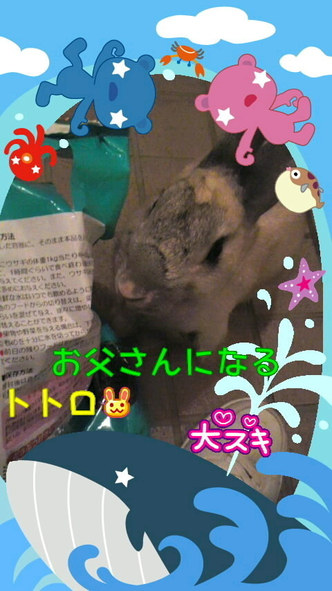 和田 まあや｜コメントありがとう竽幸せすぎですぅ♪〜θ(^0^ )（2011-11-16）