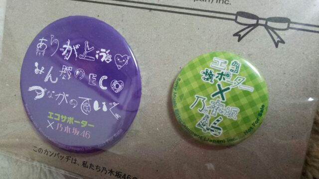 川村 真洋｜ちょこっと更新〜エコばっち〜  ろってぃ−☆（2013-04-11）