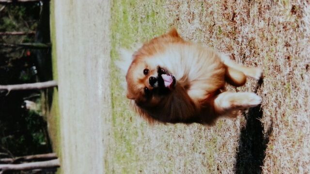 川村 真洋｜今ヘアメイク中だよっ(*^^*)/  ろってぃー（2013-06-01）