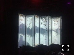 新内 眞衣｜金魚の一生（2016-09-12）｜2枚目