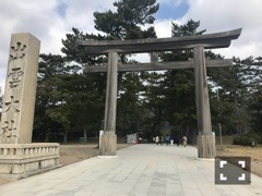 新内 眞衣｜知らない道（2018-03-15）｜2枚目