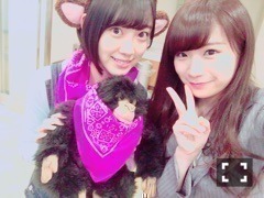 秋元 真夏｜Mステヽ(｡･ω･｡)ﾉ411（2016-02-26）｜5枚目
