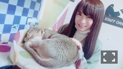秋元 真夏｜2ndアルバム出るよ(∩^ω^∩)421（2016-04-11）｜5枚目